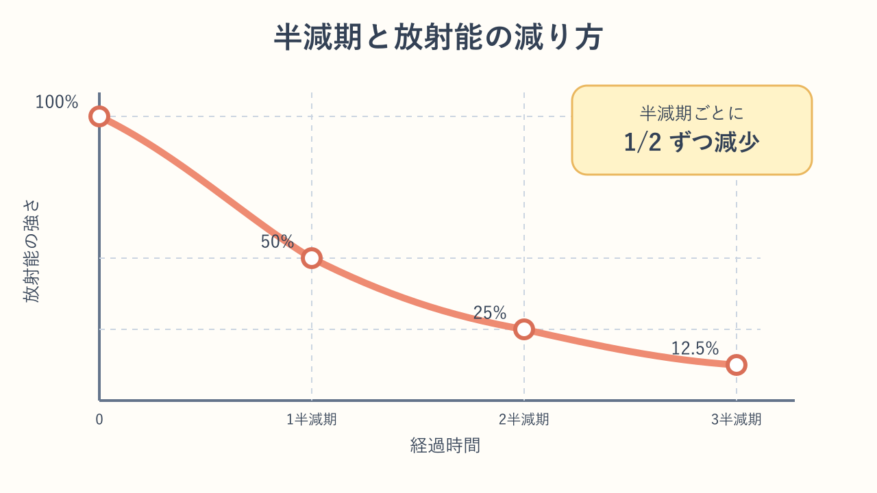 半減期ごとに放射能が2分の1へ減少する様子を示すグラフ